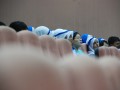 Tn DSC 7344